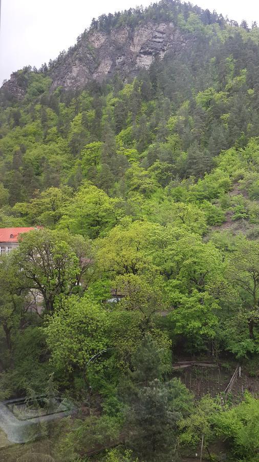 Mariko Hotel Borjomi Exterior photo