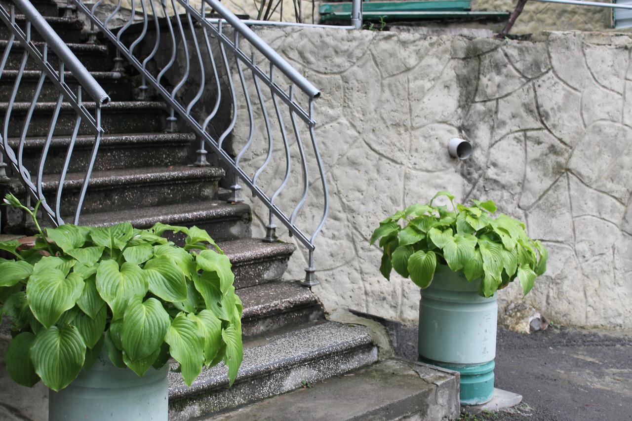 Mariko Hotel Borjomi Exterior photo